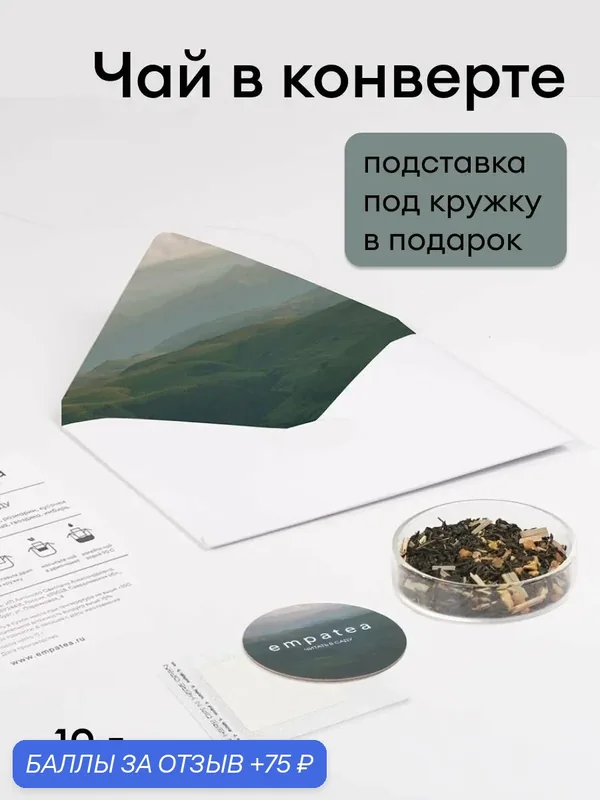 Чай черный листовой с ягодами и фруктами в подарочном конверте, чай подарочный — Empatea, 75 баллов за отзыв Яндекс Маркет