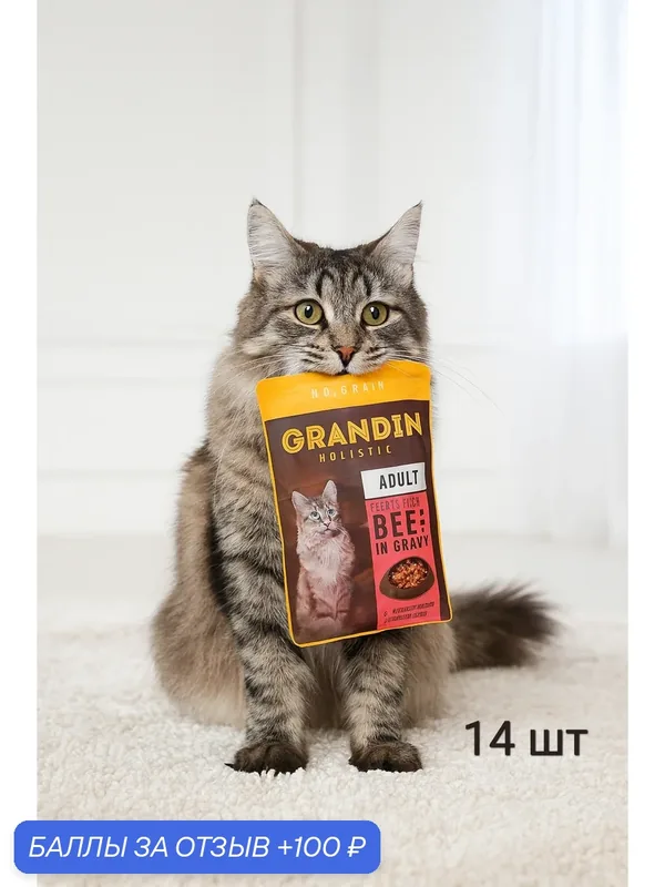 Grandin Влажный корм (пауч) для кошек, кусочки с говядиной в соусе, 85 гр. x 14шт — Grandin, 100 баллов за отзыв Яндекс Маркет