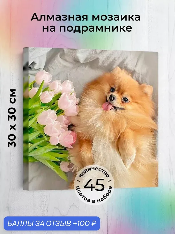 Набор для творчества, алмазная мозаика на подрамнике "Шпиц" размер 30х30 AGP185 — ГРАННИ, 100 баллов за отзыв Яндекс Маркет