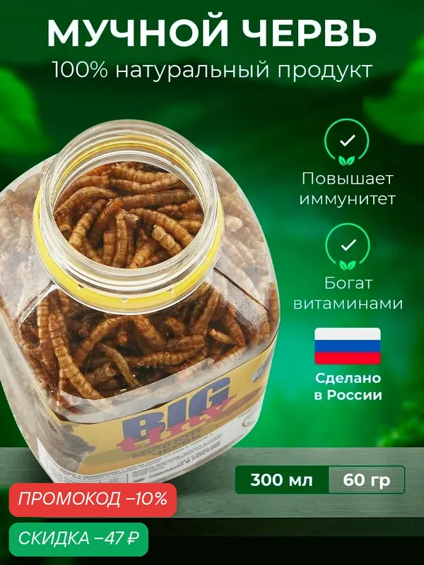 Premium мучной червь для грызунов, ежей, черепах — BIG tiny, скидка по промокоду Яндекс Маркет