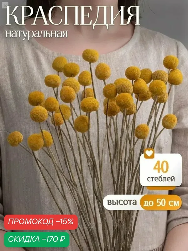 Сухоцветы Краспедия, 50 см, 290 гр — скидка по промокоду Яндекс Маркет