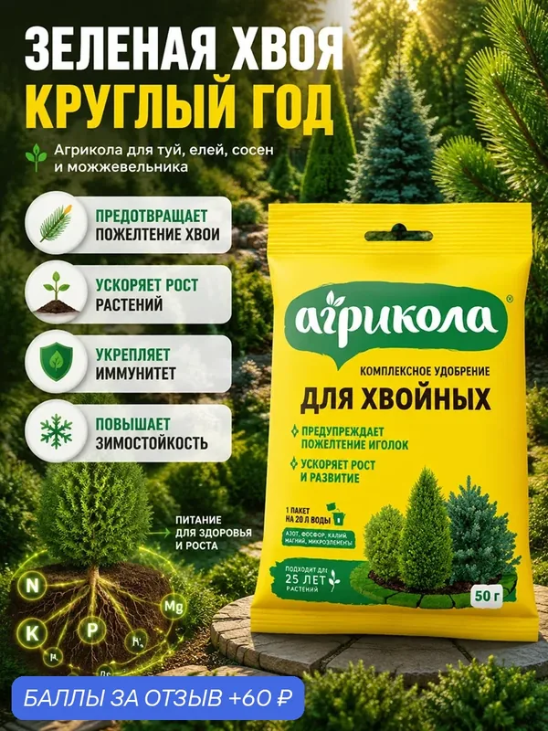 Удобрение для хвойных растений, прикорневая подкормка, Агрикола, 50г — Агрикола, 60 баллов за отзыв Яндекс Маркет