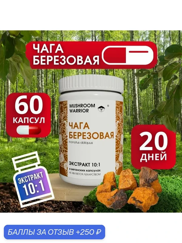 Чага Березовая дробный экстракт 10:1, 60 капсул, для ЖКТ, Mushroom Warrior, комплексная пищевая добавка — MUSHROOM WARRIOR, 250 баллов за отзыв Яндекс Маркет