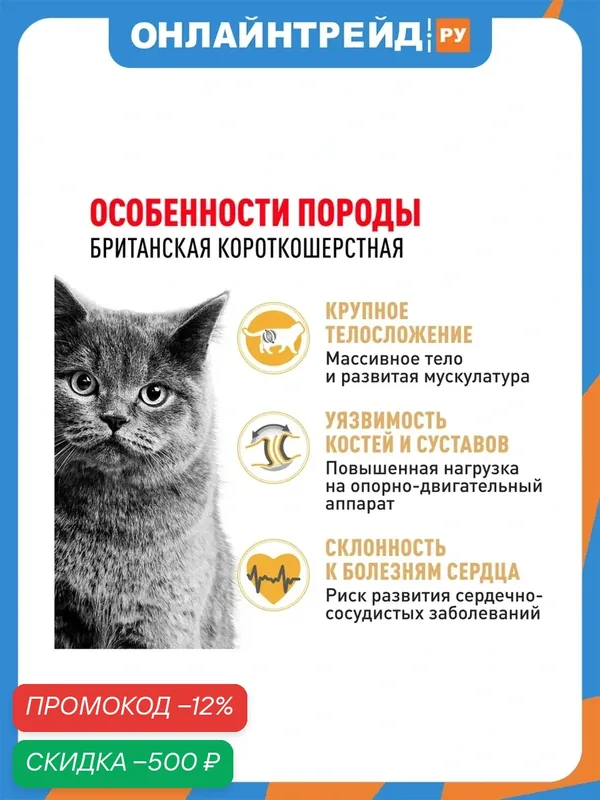 Корм для кошек британской короткошерстной породы Royal Canin British Shorthair 34, 2кг — Royal Canin, скидка по промокоду Яндекс Маркет
