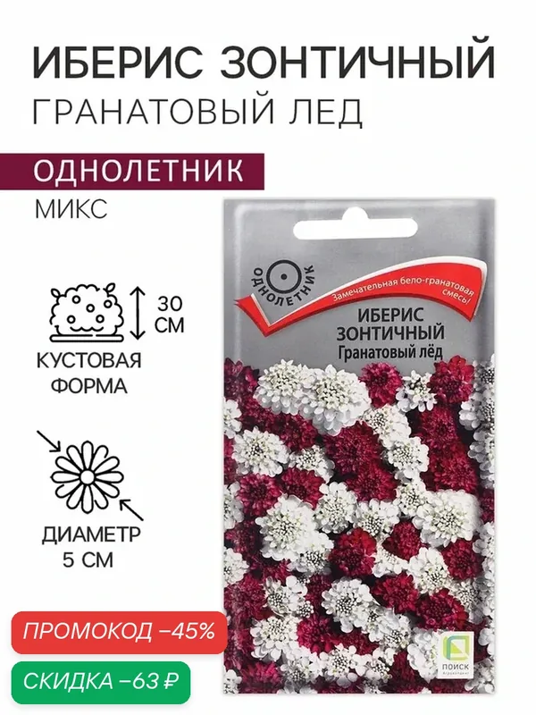 Семена Цветов Иберис зонтичный «Гранатовый лед», 0.1 г, «поиск» — ПОИСК, скидка по промокоду Яндекс Маркет