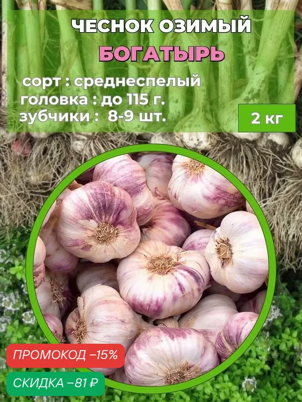 Чеснок озимый на посадку, 2 кг. — скидка по промокоду Яндекс Маркет