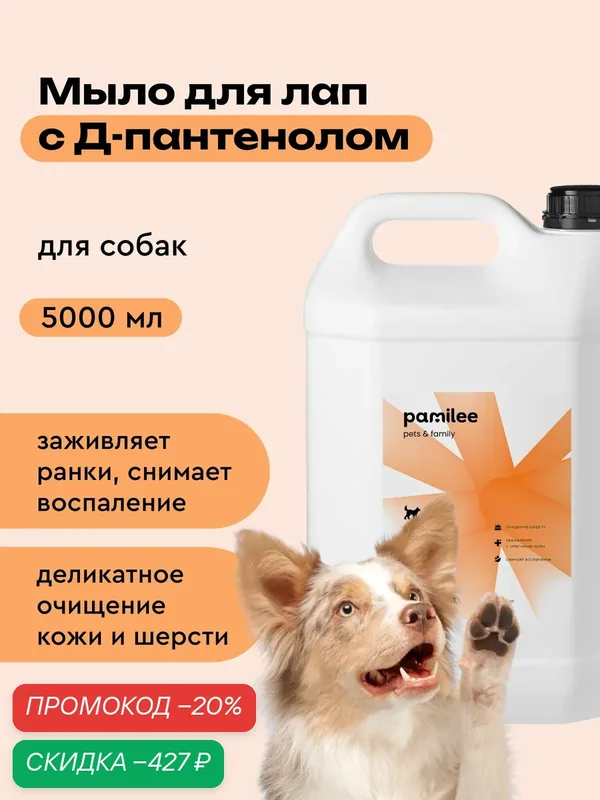 Мыло для лап собак с пантенолом, 5л, профессиональное, Pamilee — Pamilee, скидка по промокоду Яндекс Маркет