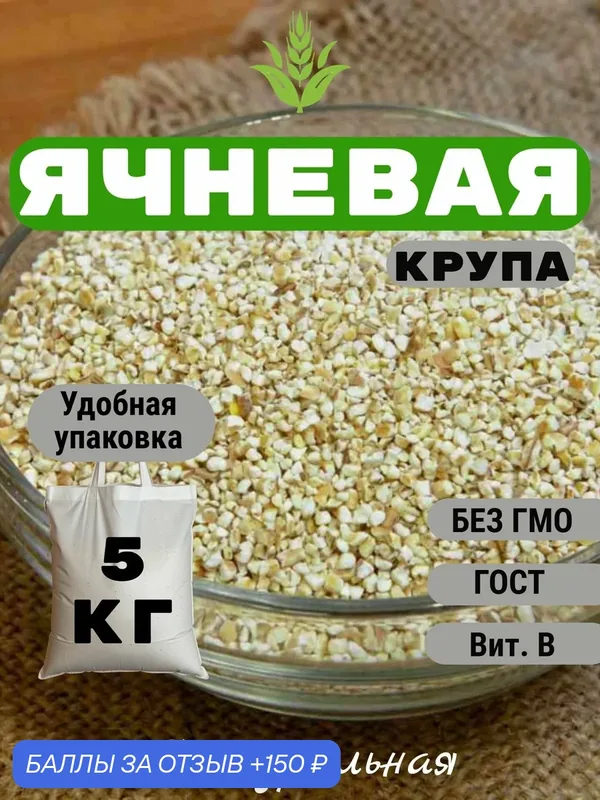 Ячневая крупа (ячменная, сечка) 5 кг / Ячка для каши и как альтернатива кус-кусу — 150 баллов за отзыв Яндекс Маркет