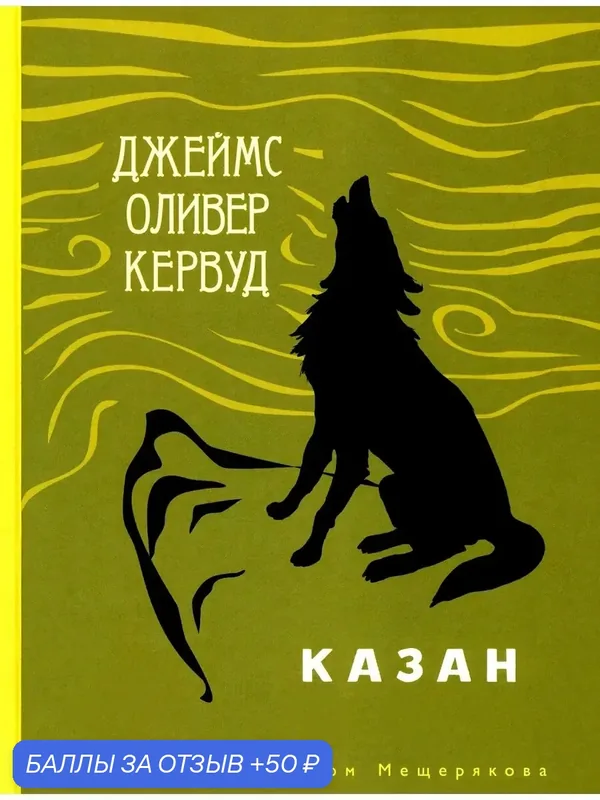 Казан — Издательский дом Мещерякова, 50 баллов за отзыв Яндекс Маркет