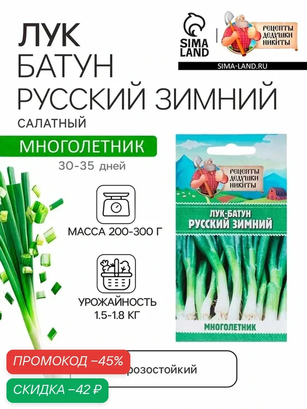 Семена Лук-батун «Русский зимний», 0.5 г, многолетник, «Рецепты дедушки Никиты» — Рецепты дедушки Никиты, скидка по промокоду Яндекс Маркет