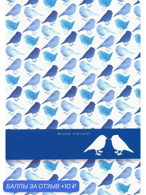 Тетрадь общая "Birds" (А5, 40 листов, клетка) (7-40-001/52) — Bruno Visconti, 10 баллов за отзыв Яндекс Маркет