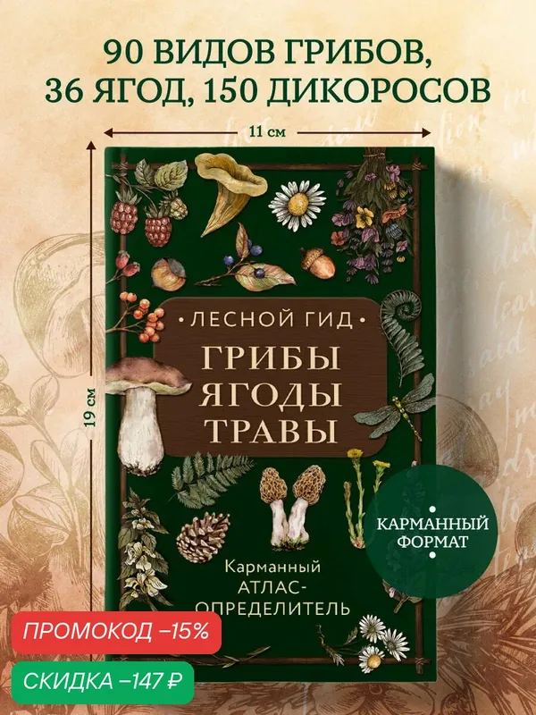 Семенова Л. С. Лесной гид: грибы, ягоды, травы. Карманный атлас-определитель — ЭКСМО, скидка по промокоду Яндекс Маркет