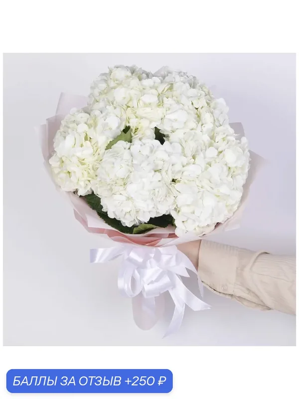 Букет Magic Flower, монобукет, гортензии 5 шт, белой, в пленке — Magic Flower, 250 баллов за отзыв Яндекс Маркет