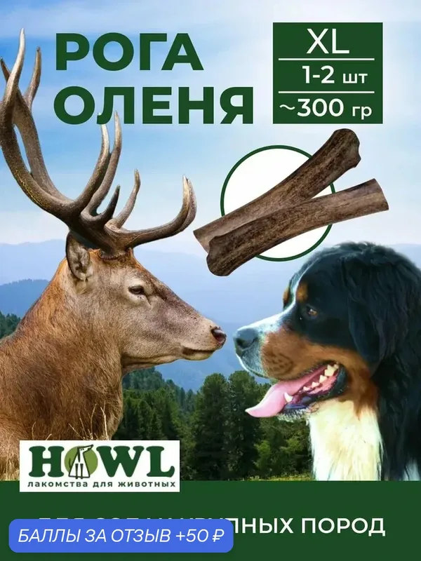 Рога Северного оленя для собак крупных пород (размер XL) 300 гр. HOWL — HOWL, 50 баллов за отзыв Яндекс Маркет