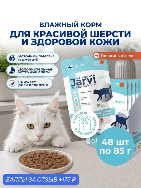 Влажный корм Jarvi монопротеиновый для кошек для красивой шерсти и здоровой кожи с говядиной (кусочки в желе), 85 г х 48 шт. — Jarvi, 175 баллов за отзыв Яндекс Маркет