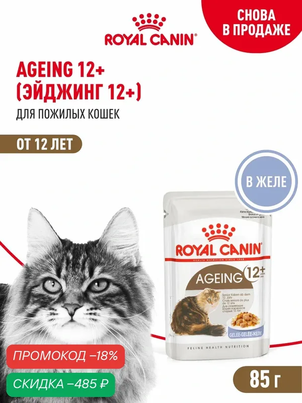Влажный корм для кошек пожилых Royal Canin Ageing 12+ кусочки в желе, 28 шт по 85 г — Royal Canin, скидка по промокоду Яндекс Маркет