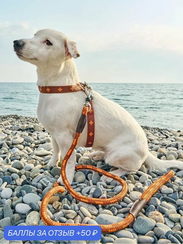 Поводок для собак DАISKI со стоппером на карабине. Коричневый, Размер L — Japan Premium Pet, скидка по промокоду Яндекс Маркет