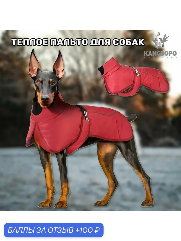 Одежда для животных/попона теплая для собак, Унисекс, 4XL, синий — ROMIKY, 100 баллов за отзыв Яндекс Маркет