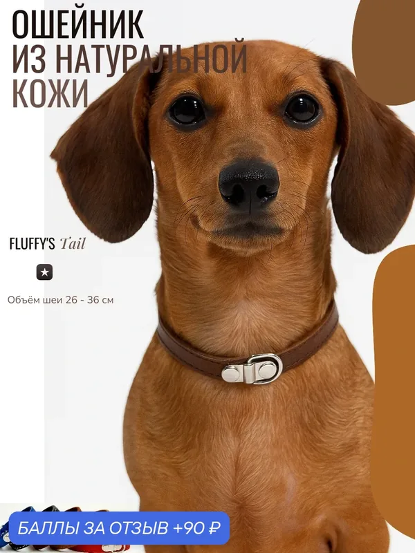 Ошейник для собак мелких, средних пород синий кожаный — FLUFFY'S TAIL, 90 баллов за отзыв Яндекс Маркет
