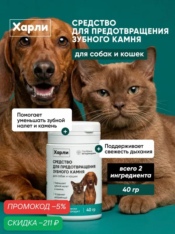 Средство от зубного налета и для предотвращения зубного камня у собак и кошек Харли, порошок с бурыми водорослями для животных, кормовая добавка для чистки, 40 г — скидка по промокоду Яндекс Маркет