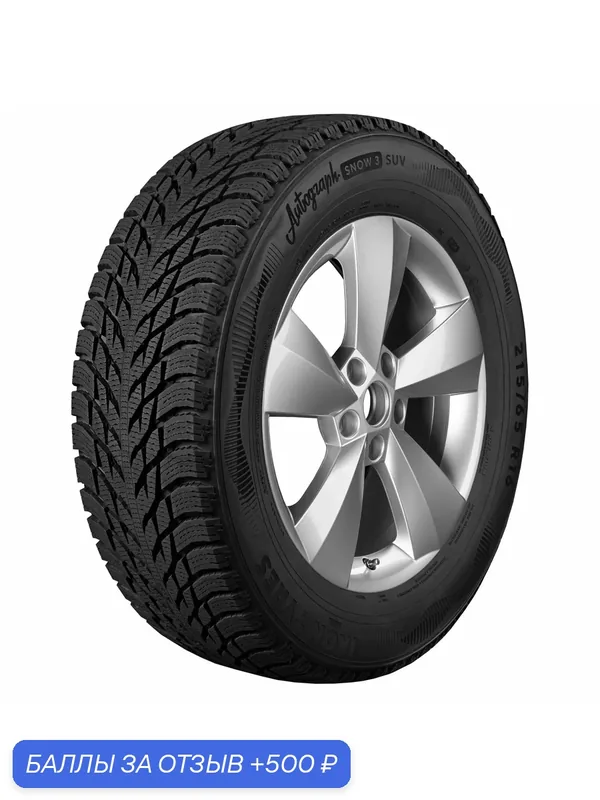 Автошина R21 315/40 Ikon Tyres Autograph Snow 3 SUV 115T XL зима T731697 — IKON TYRES, 500 баллов за отзыв Яндекс Маркет