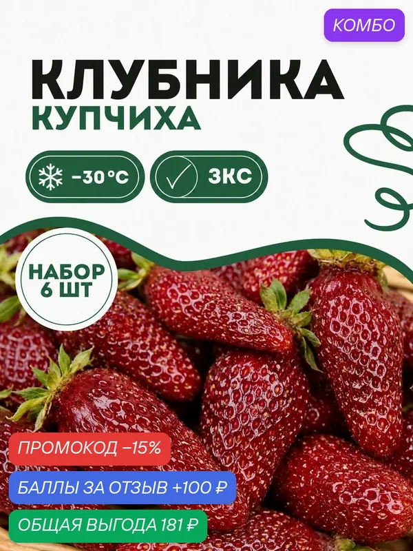 Саженцы клубники Купчиха в кассете 6 шт. Идеально для вашего сада! — 100 баллов за отзыв Яндекс Маркет
