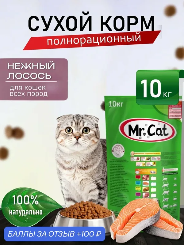 Корм для кошек сухой 10 кг нежный лосось — Mr. Cat, 100 баллов за отзыв Яндекс Маркет