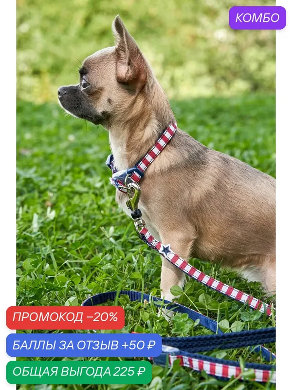 Поводок для собак Japan Premium Pet "Английский стиляга" с функцией Антисрыв. Размер S. Цвет NAVY с красным — Japan Premium Pet, промокод и 50 баллов за отзыв Яндекс Маркет