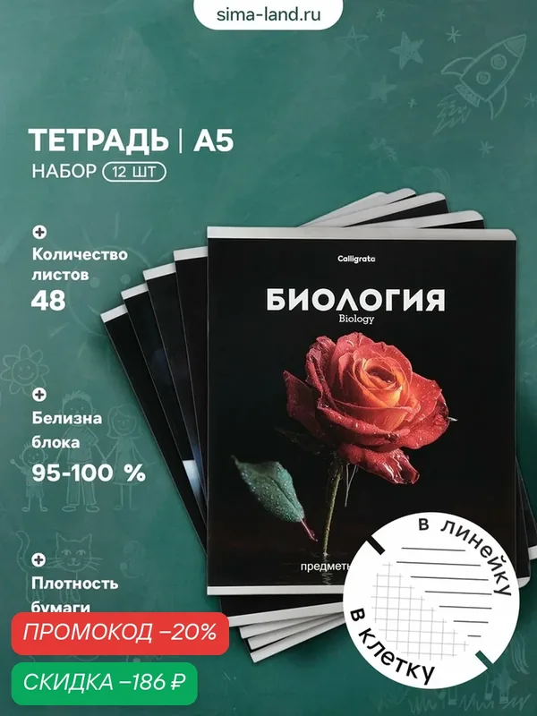 Комплект 12 предметных тетрадей 48 листов, справочная информация, 60гр, Черная серия — Сима-ленд, скидка по промокоду Яндекс Маркет