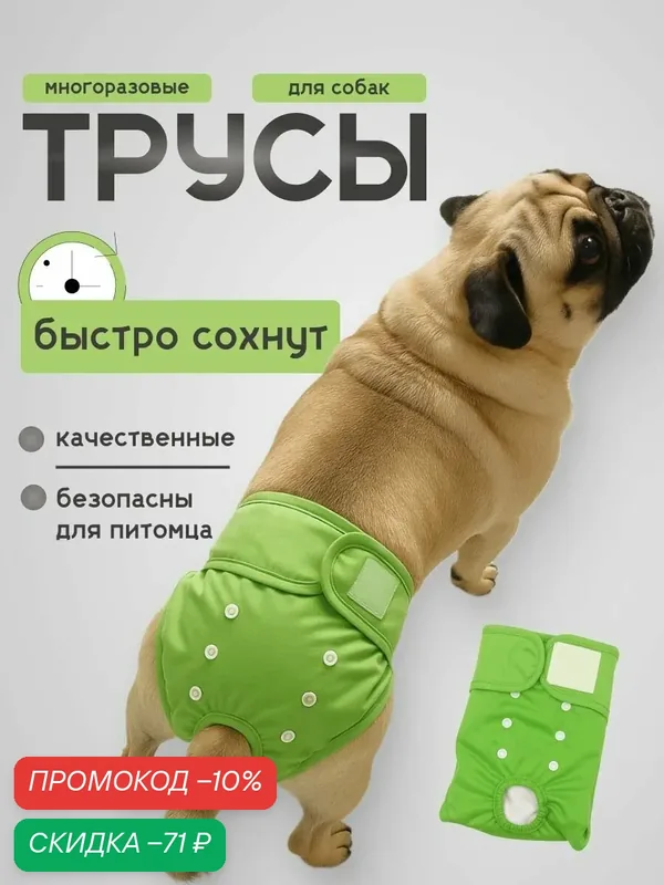 Трусы для собаки во время течки многоразовые M, подгузники для собак средних пород впитывающие — BIG tiny, скидка по промокоду Яндекс Маркет