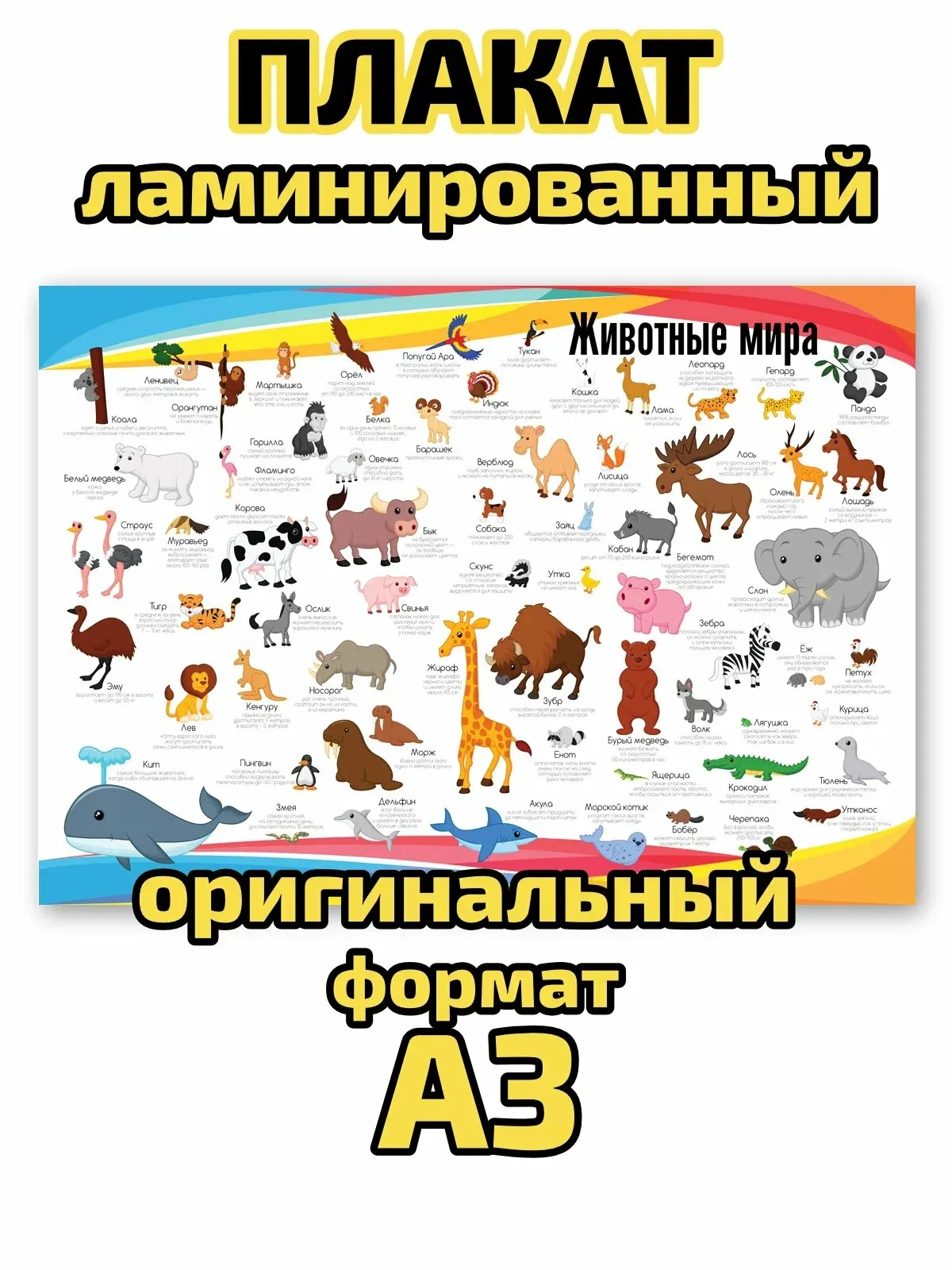Плакат Квинг "Животные мира", ламинированный, А3, для изучения зоологии — Квинг, 60 баллов за отзыв Яндекс Маркет
