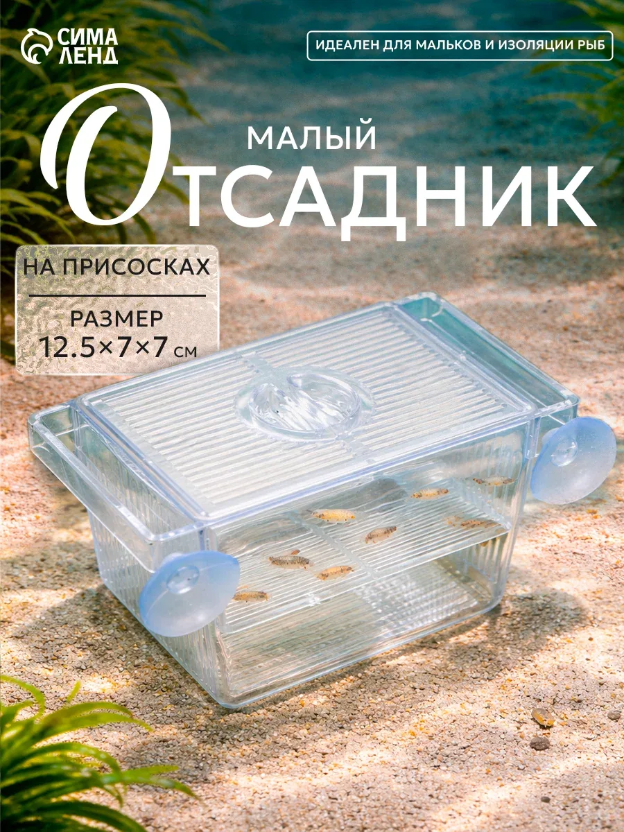 Отсадник малый, 12.5 × 7 × 7 см, на присосках, циркуляция воды, пластик — Сима-ленд, скидка по промокоду Яндекс Маркет