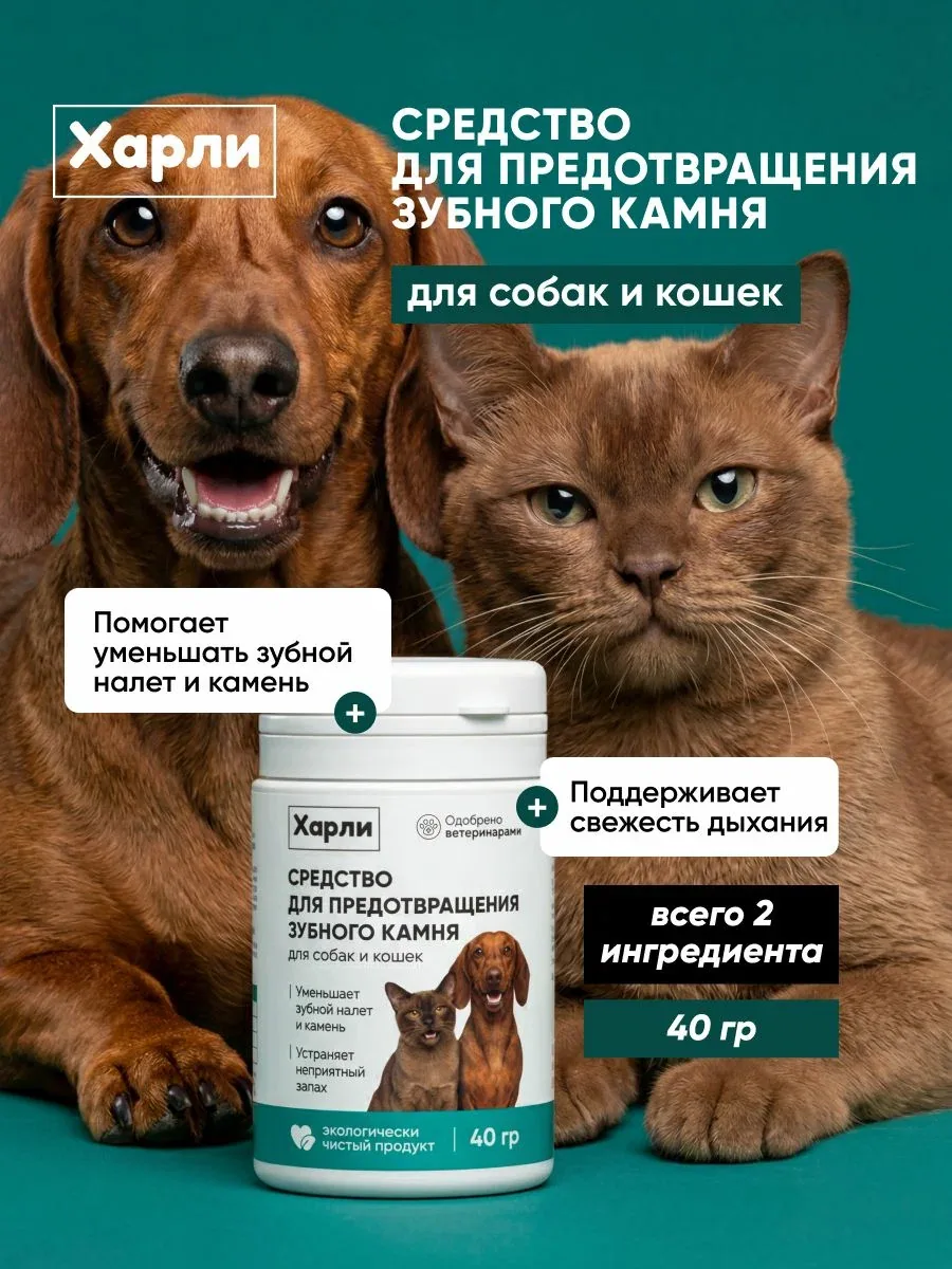 Средство от зубного налета и для предотвращения зубного камня у собак и кошек Харли, порошок с бурыми водорослями для животных, кормовая добавка для чистки, 40 г — скидка по промокоду Яндекс Маркет