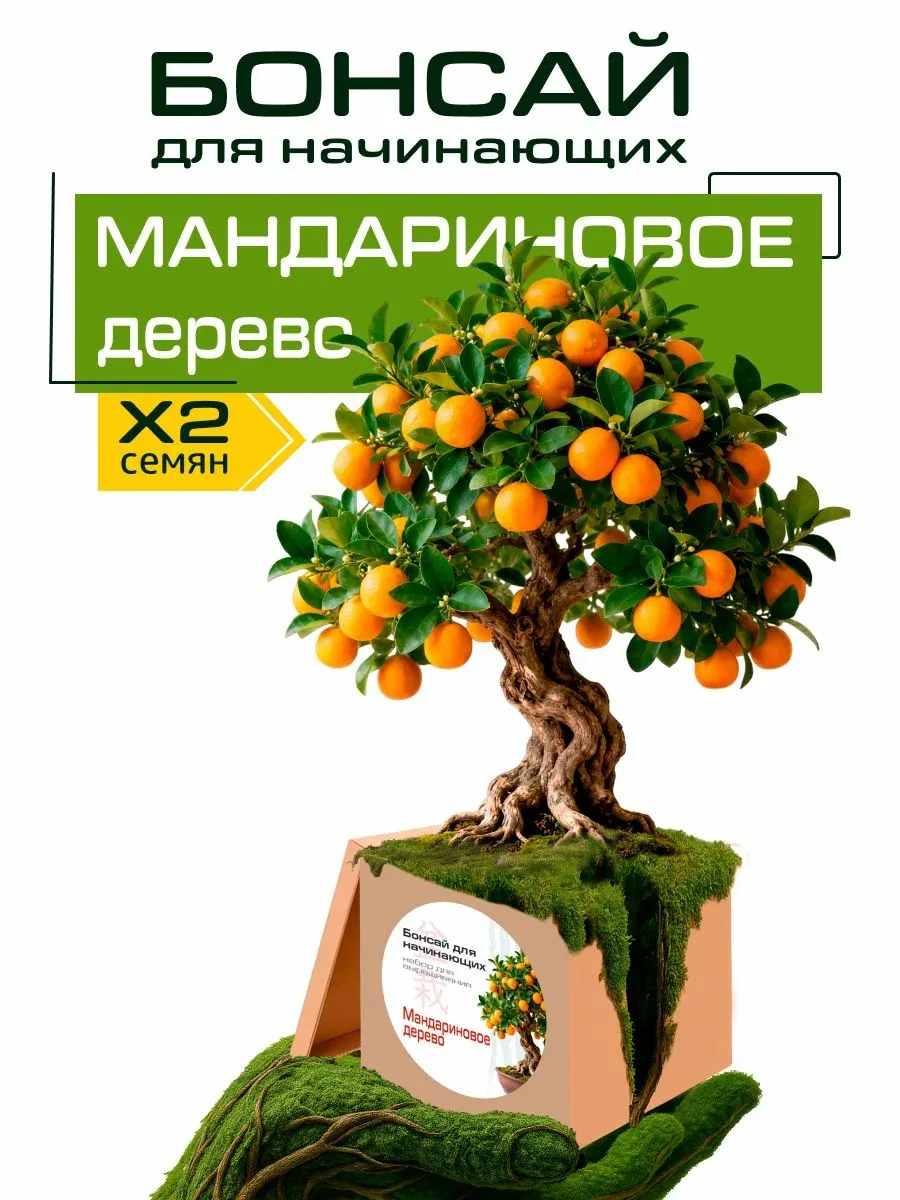 Набор для выращивания "Бонсай для начинающих. Мандариновое дерево" — скидка по промокоду Яндекс Маркет