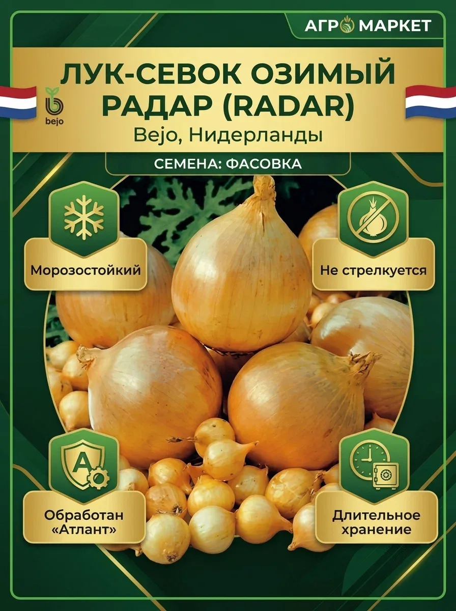 Семена Лука - озимого Радар (Radar) 10 грамм, Bejo, Голландия — Bejo, 100 баллов за отзыв Яндекс Маркет