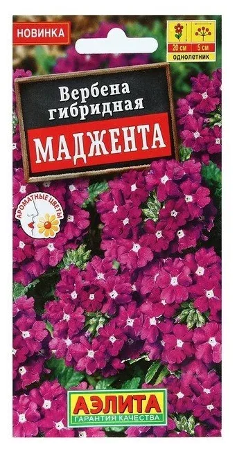 Семена Цветов Вербена гибридная «Маджента», 10 шт. — Агрофирма АЭЛИТА, скидка по промокоду Яндекс Маркет