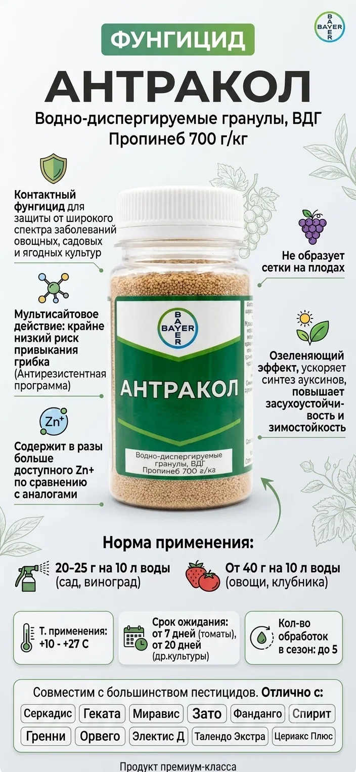 Фунгицид Антракол, 10 грамм Контактный фунгицид для защиты от широкого спектра заболеваний овощных, садовых и ягодных культур, фасовка — Bayer, скидка по промокоду Яндекс Маркет